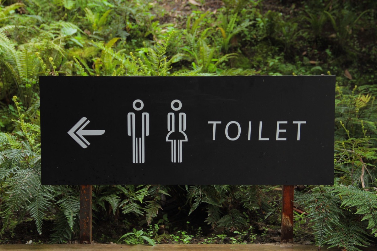 Public toilet sign in Italian