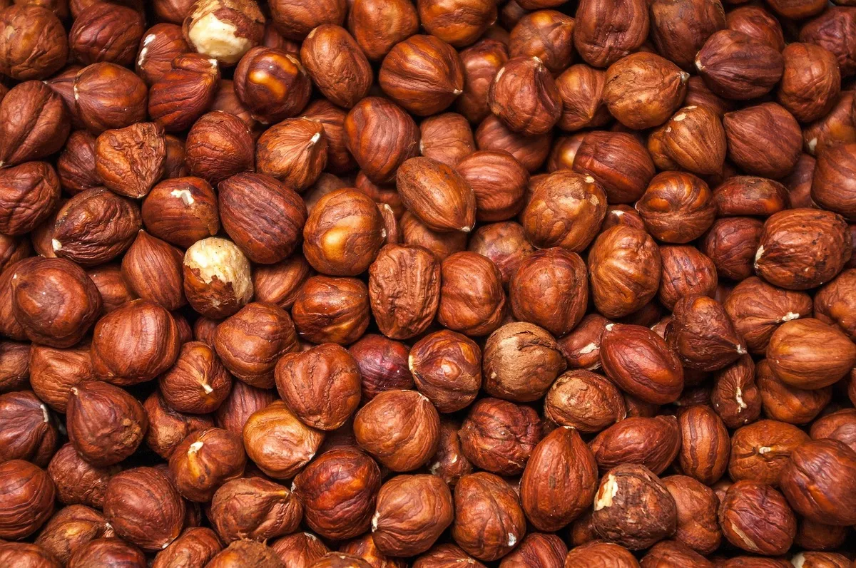 hazelnuts, protein, beautiful wallpaper, windows wallpaper, laptop wallpaper, wallpaper hd, cool backgrounds, full hd wallpaper, free wallpaper, 4k wallpaper 19