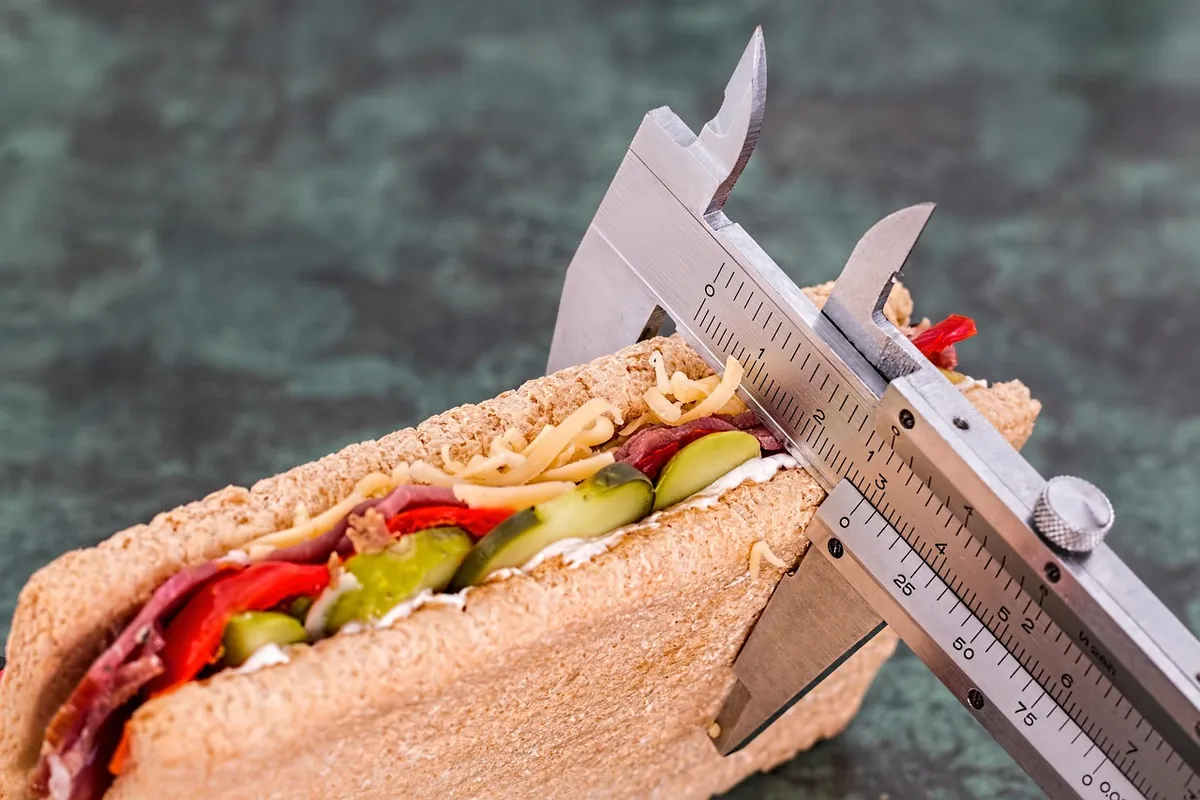 diet, vernier, sandwich, calorie counter, weight loss, health, food, lifestyle, slimming, snack, protein, nutrition, fitness, healthcare, nutritionist, dieticia